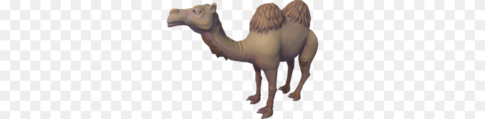 Al The Camel, Animal, Mammal, Person Png