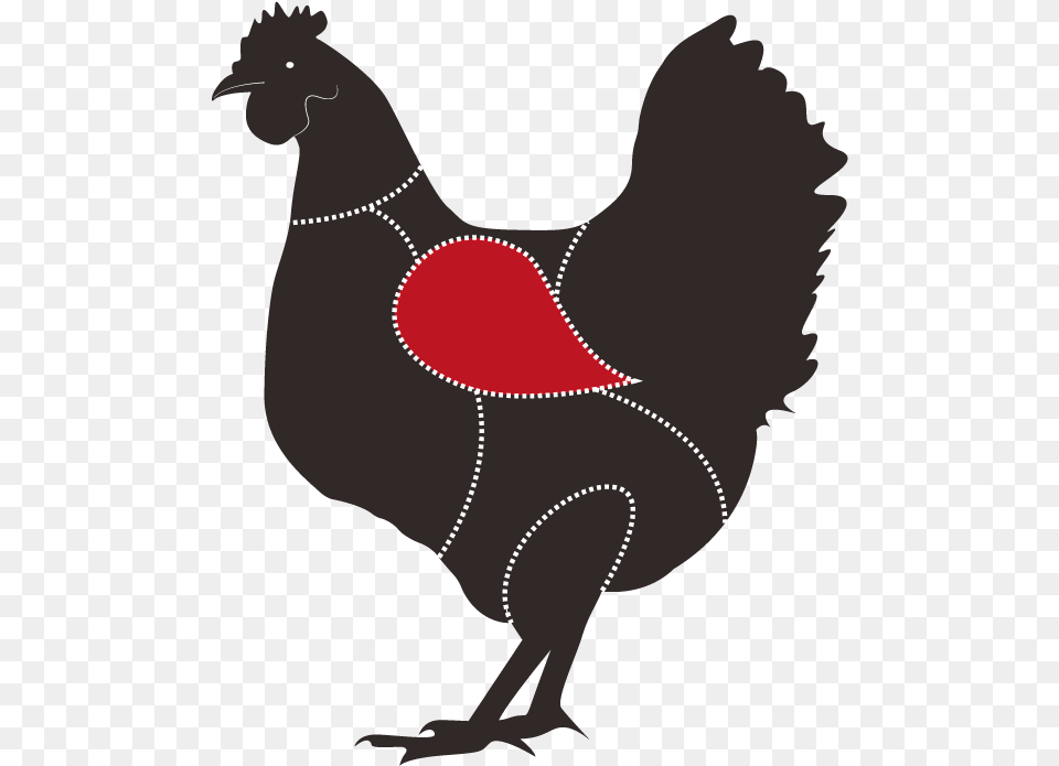 Ala De Gallina Pechuga De La Gallina, Animal, Bird, Chicken, Fowl Png