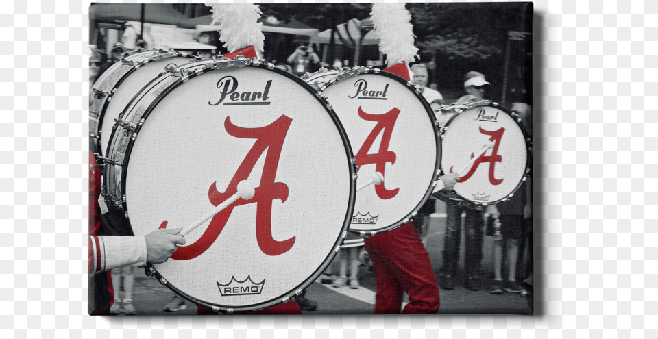 Alabama Crimson Tide Mdb Drums Canvasclass Traffic Sign, Person, People, Adult, Man Png