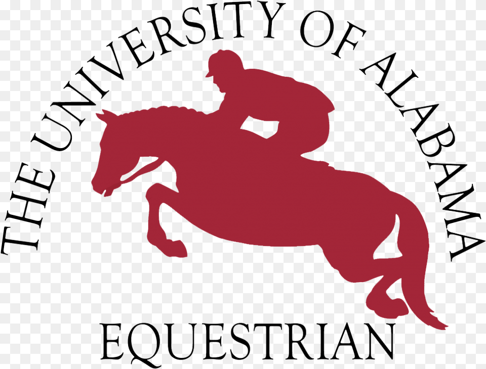 Alabama Equestrian Program Alabama, Baby, Person, Animal, Mammal Free Png Download