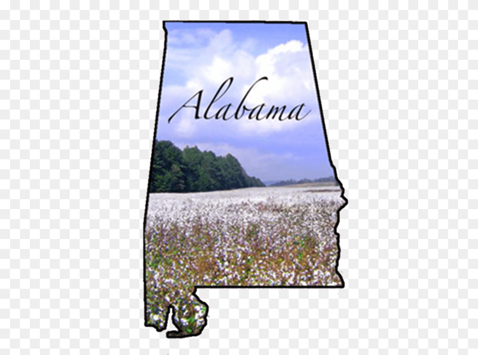 Alabama No Back Poster, Land, Nature, Outdoors, Plant Png Image