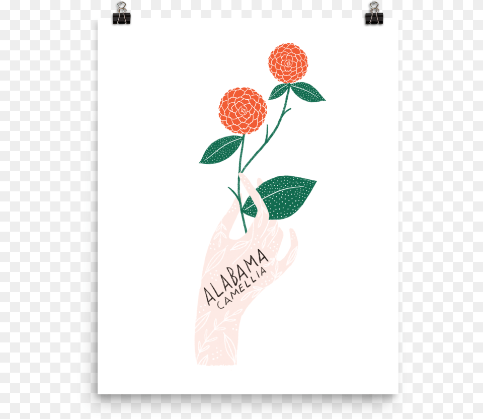 Alabama State Flower Print Alaska, Greeting Card, Envelope, Mail, Plant Png Image