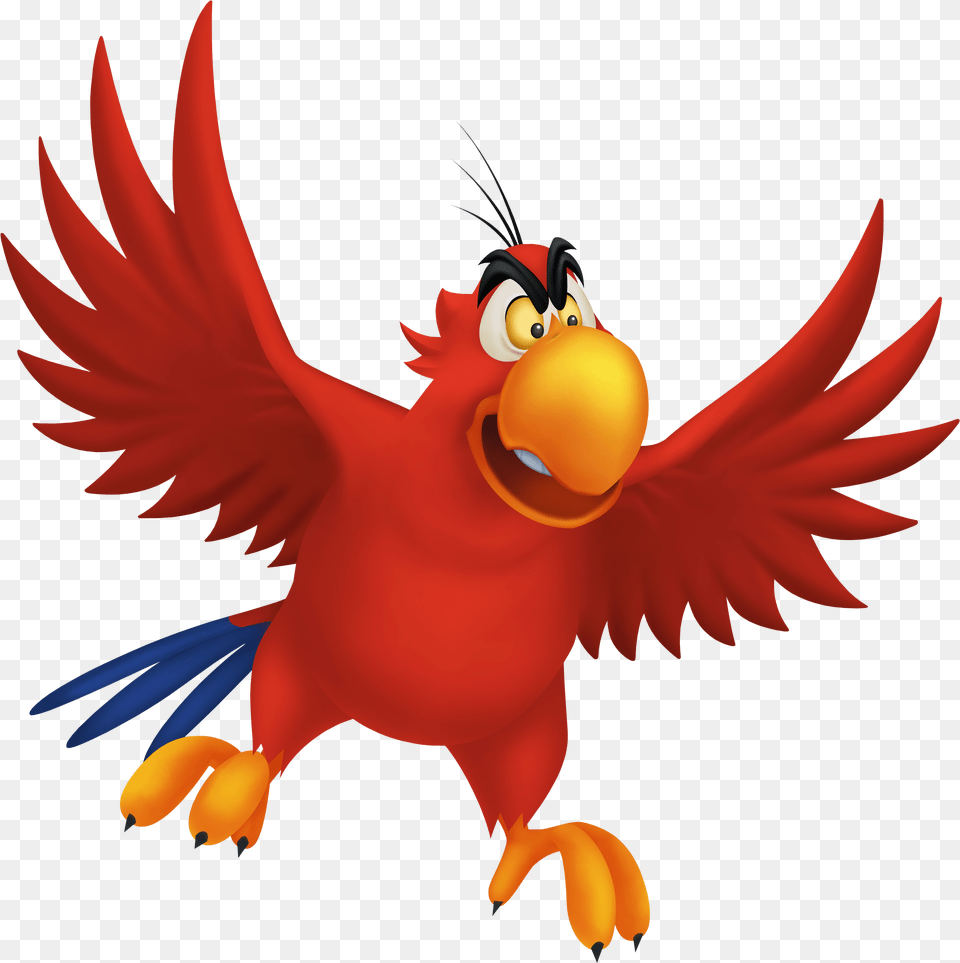Aladdin Parrot Name, Animal, Beak, Bird Free Png Download