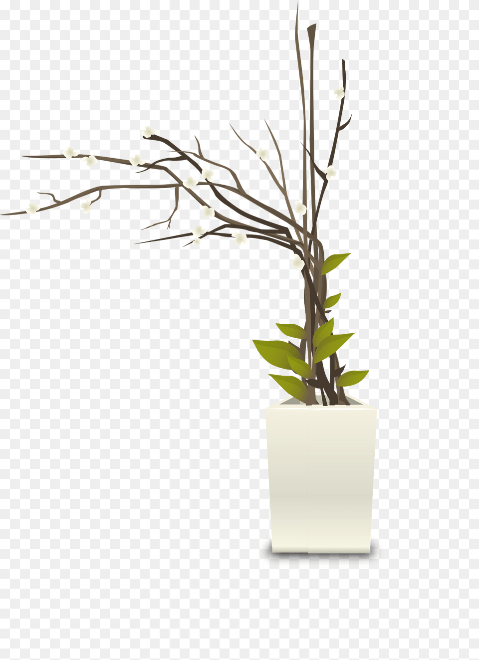 Alakol Willow Plant Clipart, Flower, Flower Arrangement, Ikebana, Potted Plant Free Png Download