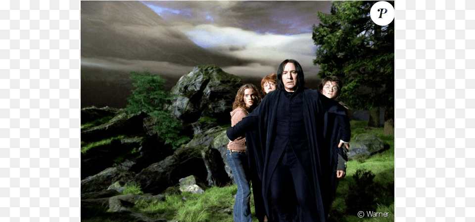 Alan Rickman Alias Severus Snaperogue Dans Harry Harry Potter I Snape, People, Head, Plant, Photography Free Transparent Png