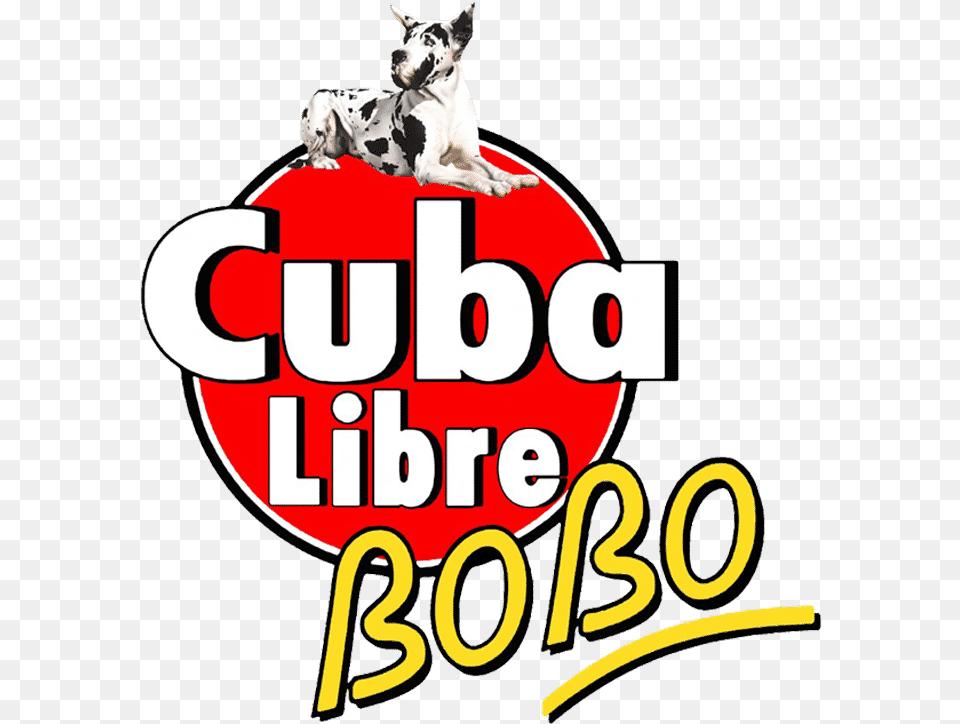 Alano Arlecchino, Animal, Canine, Dog, Mammal Free Transparent Png