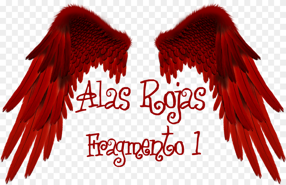 Alas Rojas Illustration, Animal, Bird, Angel Free Png Download
