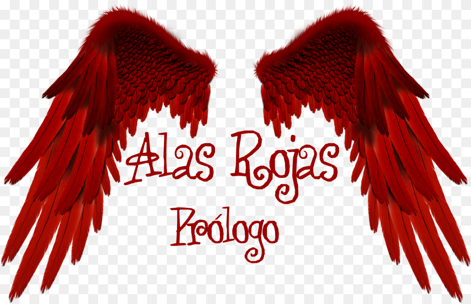 Alas Rojas Prlogo Love, Animal, Bird, Angel Free Png Download