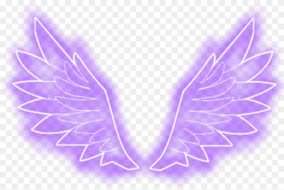Alas Wings Angelwings Angel Morado Purple Tumblr Neon Purple Angel Wings, Light, Person Png
