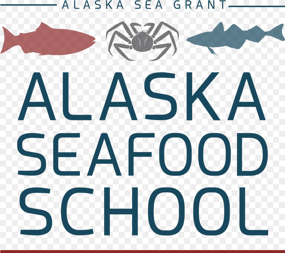 Alaska, Animal, Fish, Sea Life, Shark Png Image