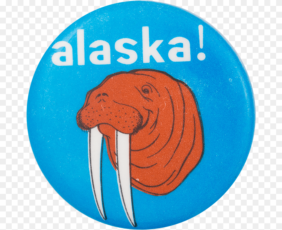 Alaska Walrus Events Button Museum Illustration, Animal, Sea Life, Mammal Png