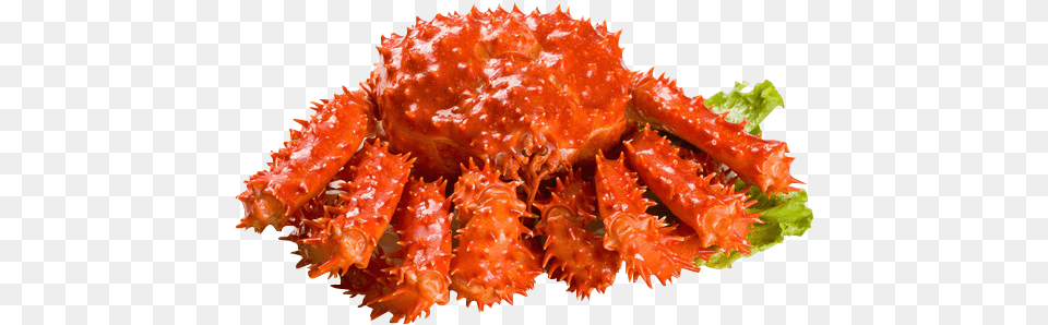 Alaskan King Crab Carrot Flakes, Animal, Food, Invertebrate, King Crab Free Png Download