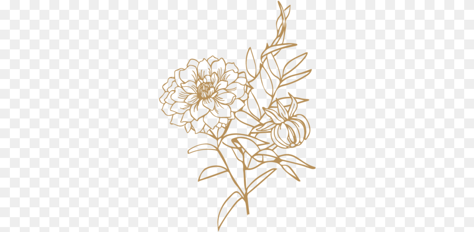 Alba Dahlia Floral Illustration, Art, Floral Design, Graphics, Pattern Png