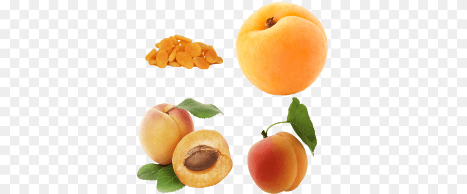 Albaricoques Rex Orange County Apricot, Food, Fruit, Plant, Produce Png Image