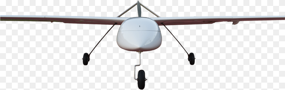 Albatross 1 Airplane, Aircraft, Animal, Bird, Flight Free Transparent Png