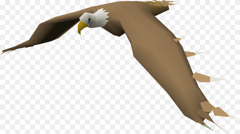 Albatross, Animal, Bird, Eagle, Fish Png Image
