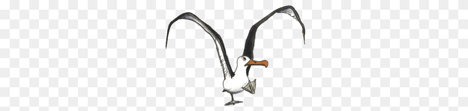 Albatross Drawing, Animal, Beak, Bird, Smoke Pipe Free Png