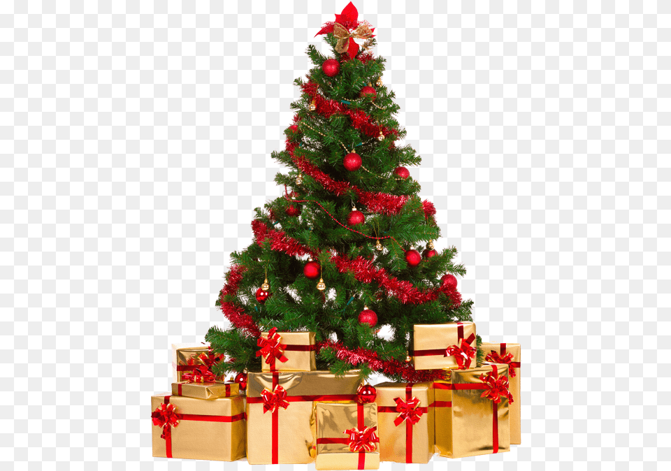 Alberi Di Natale Christmas Tree Gifts, Plant, Christmas Decorations, Festival, Christmas Tree Free Png Download