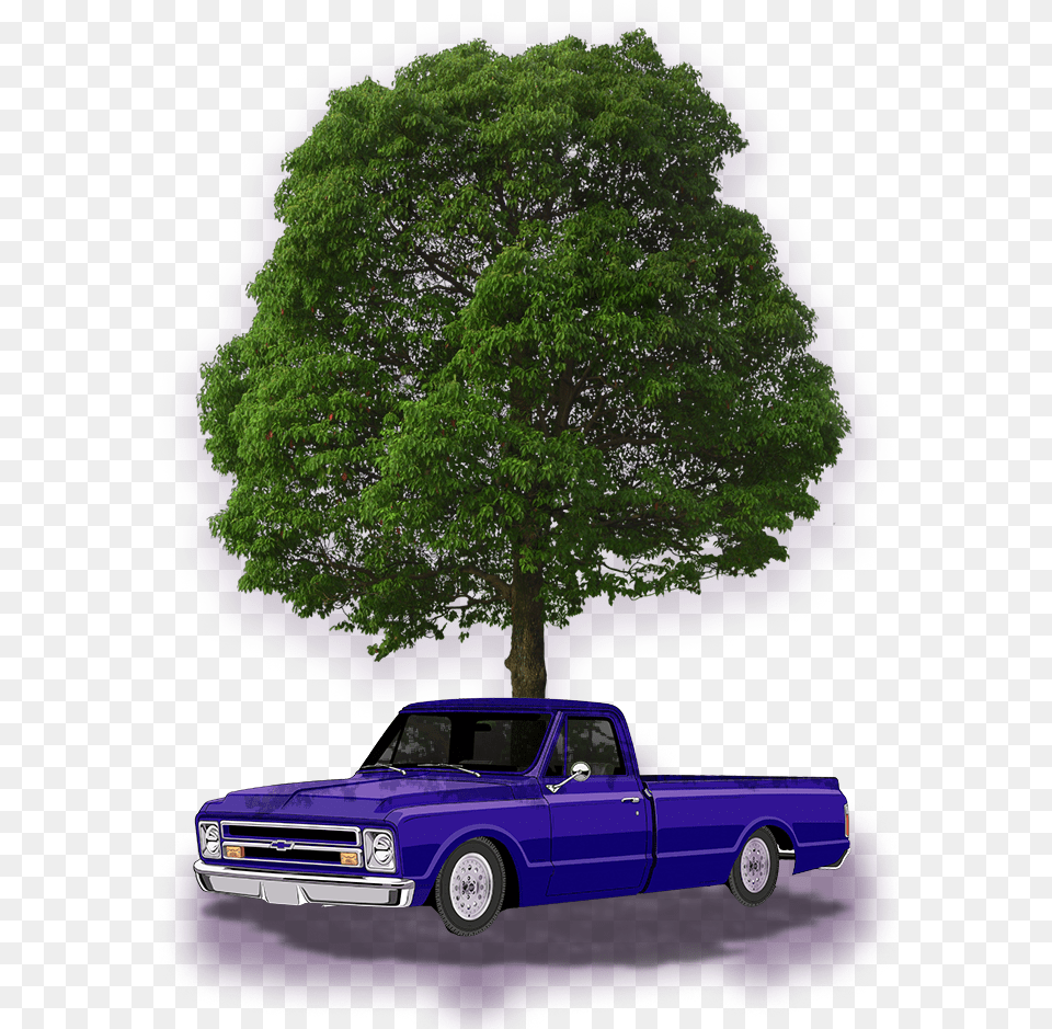 Alberi Prospetto Hd, Tree, Transportation, Truck, Plant Free Png Download
