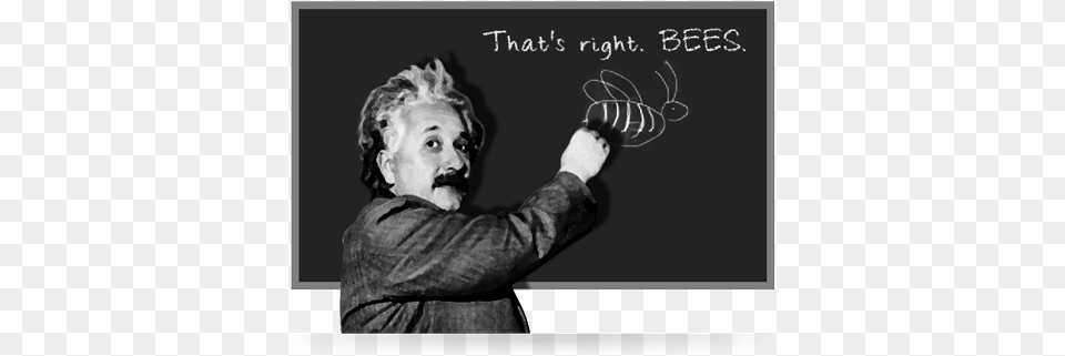 Albert Einstein39s Theories, Blackboard, Body Part, Photography, Finger Free Png