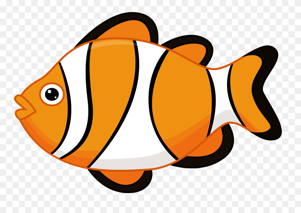 Album, Animal, Sea Life, Amphiprion, Fish Free Transparent Png