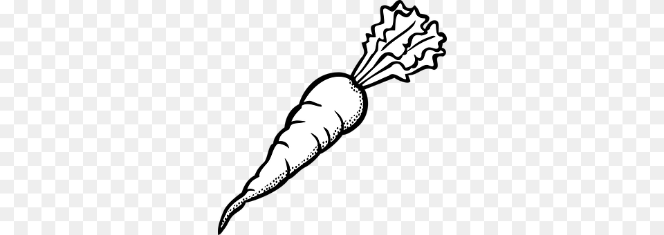 Album Carrot, Food, Plant, Produce Free Png Download