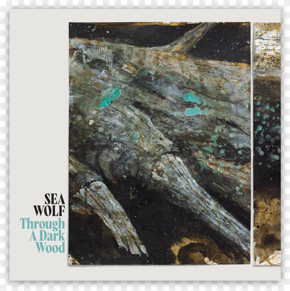 Album Cover W Drop Shadow Sea Wolf Through A Dark Wood, Plant, Tree, Art, Driftwood Png