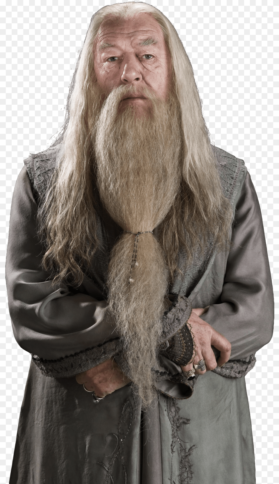 Albus Dumbledore, Adult, Beard, Face, Female Free Png