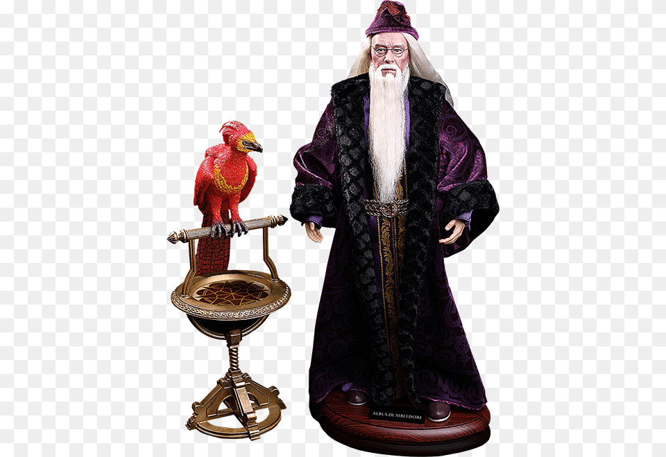 Albus Dumbledore Figure, Adult, Man, Male, Fashion Free Png Download