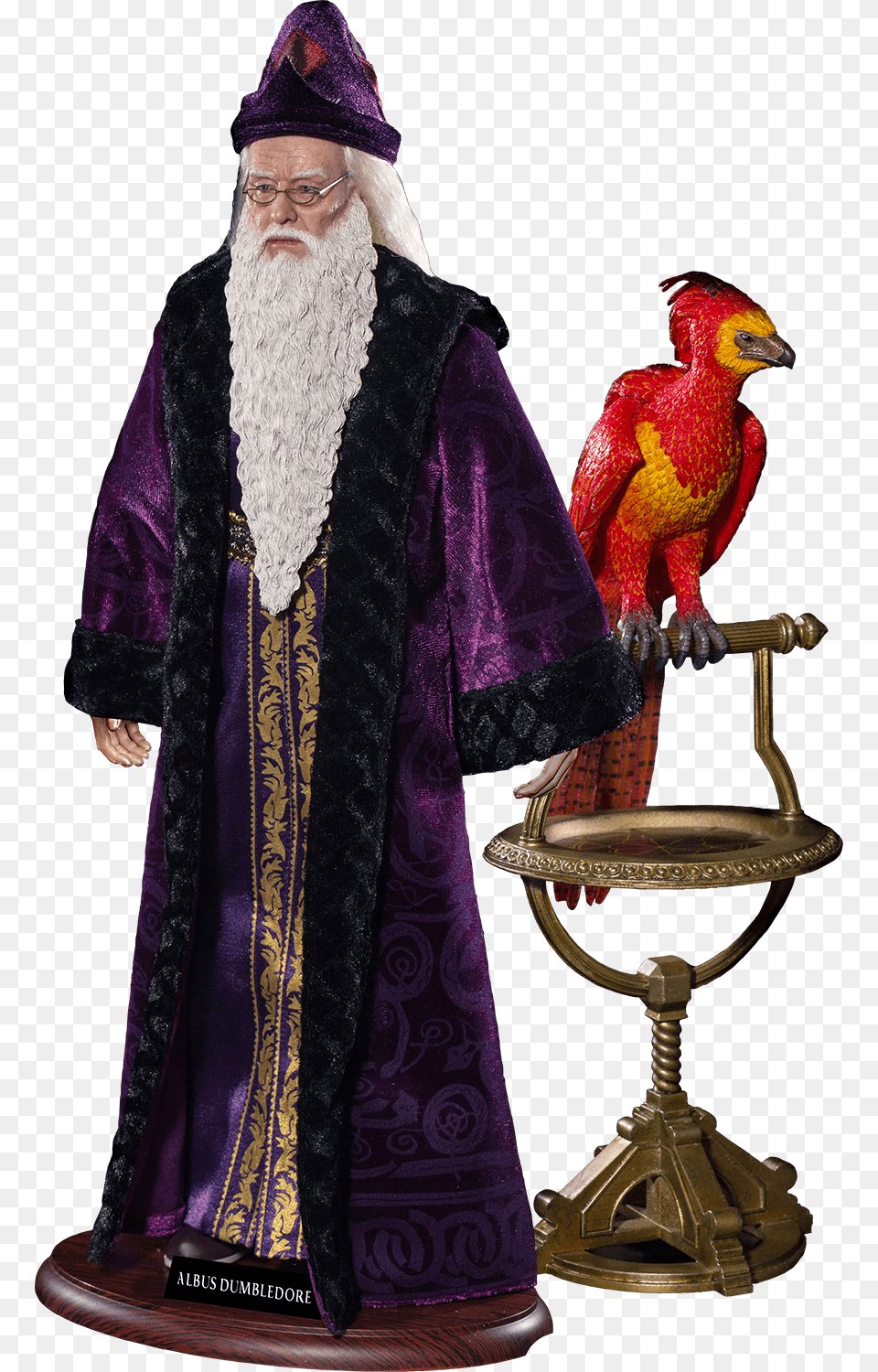 Albus Dumbledore With Fawkes 16th Scale Action Figure Harry Potter Dumbledore Figures, Fashion, Wedding, Person, Female Free Transparent Png
