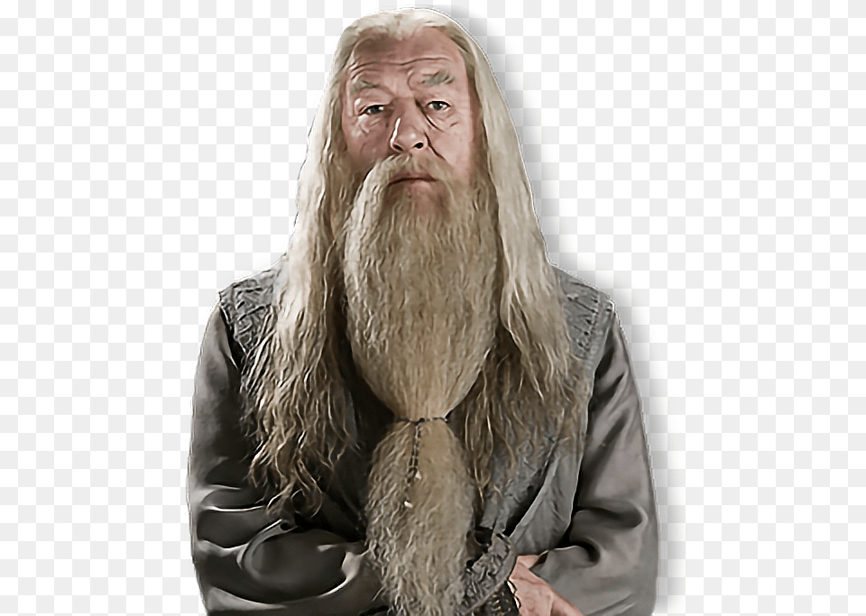 Albus Percival Wulfric Brian Dumbledore Albusdumbledore Albus Dumbledore, Beard, Face, Head, Person Png