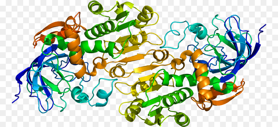 Alcohol Dehydrogenase, Art, Graphics, Light Png