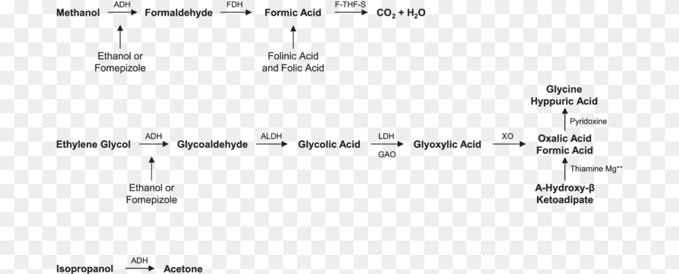 Alcohol Mechanism Of Action, Text, Chart, Plot Free Png