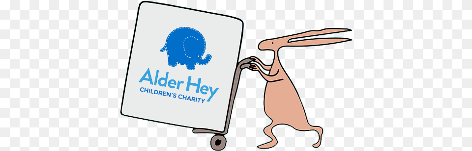 Alder Hey Children39s Charity Alder Hey Children39s Hospital, Animal, Bear, Mammal, Wildlife Png