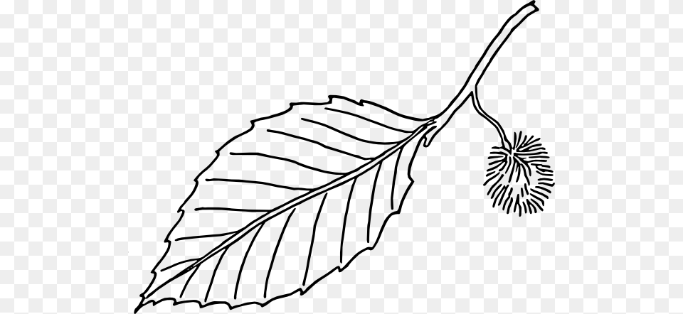 Alder Tree Leaf Tattoo, Plant, Bow, Weapon, Art Png Image