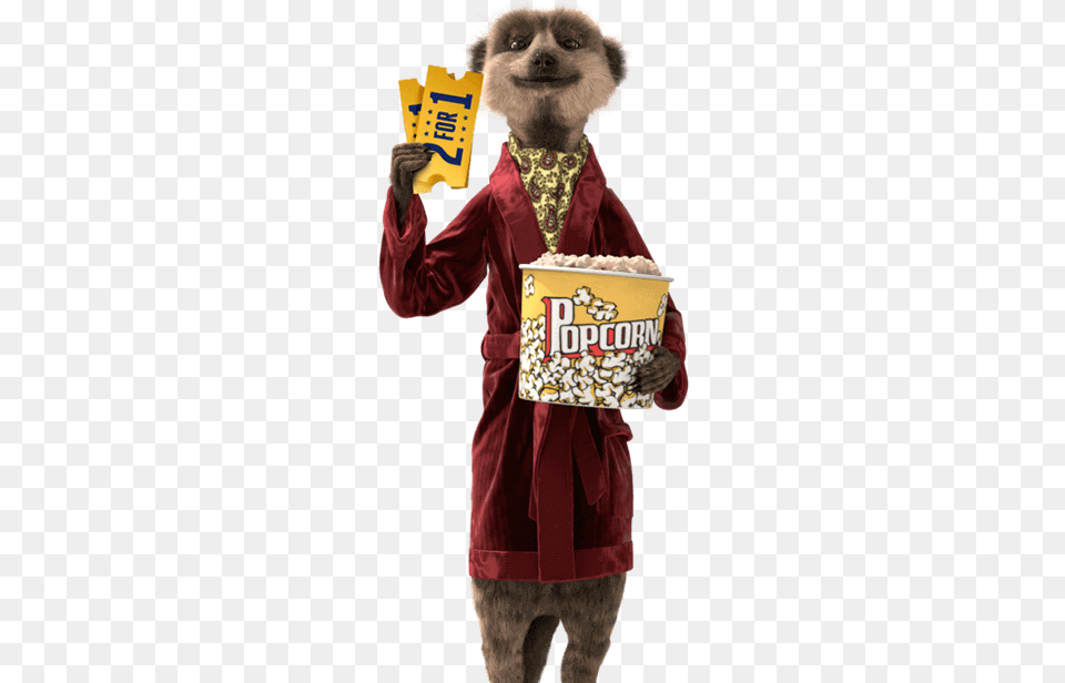 Aleksander Orlov Sergei Compare The Meerkat, Child, Female, Girl, Person Png Image