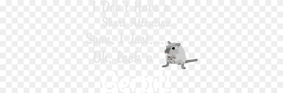 Alenia C 27j Spartan, Animal, Mammal, Rodent, Rat Free Png Download