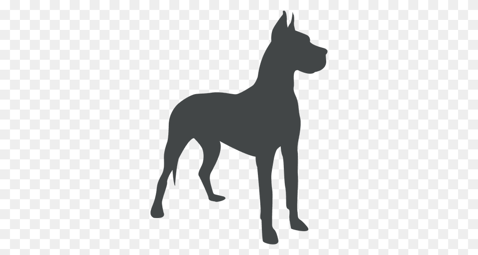 Alert Dog Silhouette Posing, Animal, Canine, Great Dane, Mammal Png Image