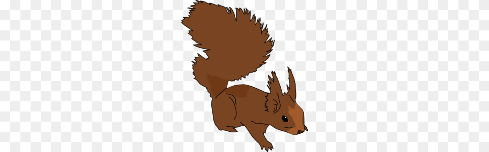 Alert Squirrel Clip Art For Web, Baby, Person, Animal, Mammal Png