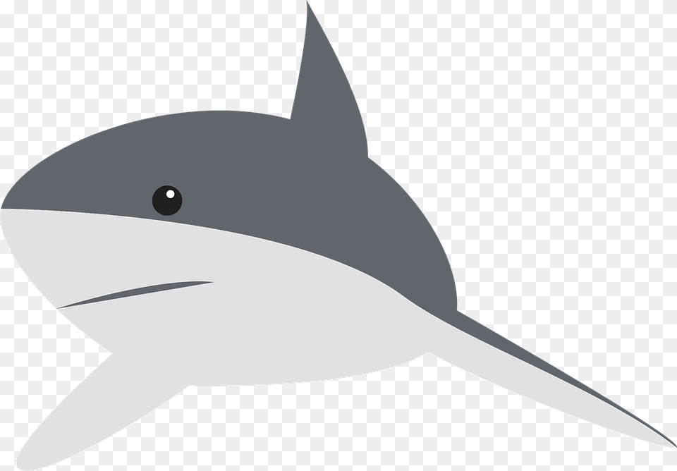 Aleta De Tiburon Clipart Cartoon Shark, Animal, Sea Life, Fish, Blade Png