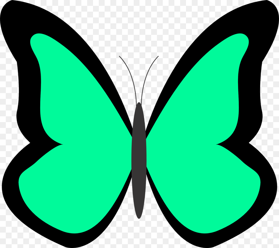 Alex Jacobs Blog Project, Animal, Invertebrate, Insect, Butterfly Free Transparent Png