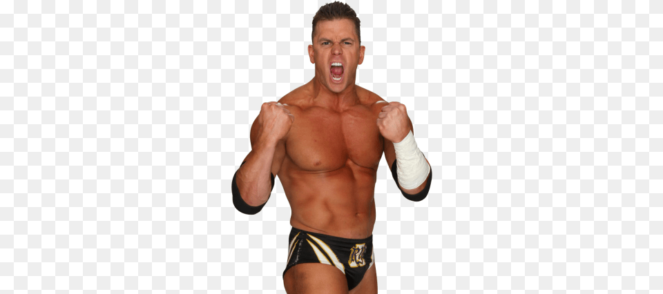 Alex Riley Nxt Superstars Wrestling Wwe, Adult, Male, Man, Person Free Png