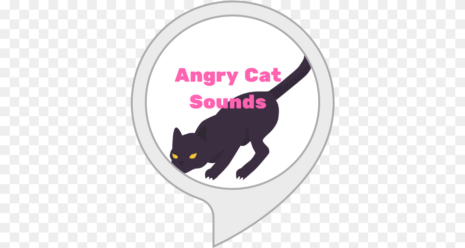 Alexa Skills Black Cat, Animal, Mammal, Pet, Black Cat Png