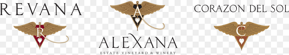 Alexana Logo Calligraphy, Animal, Bird Png Image