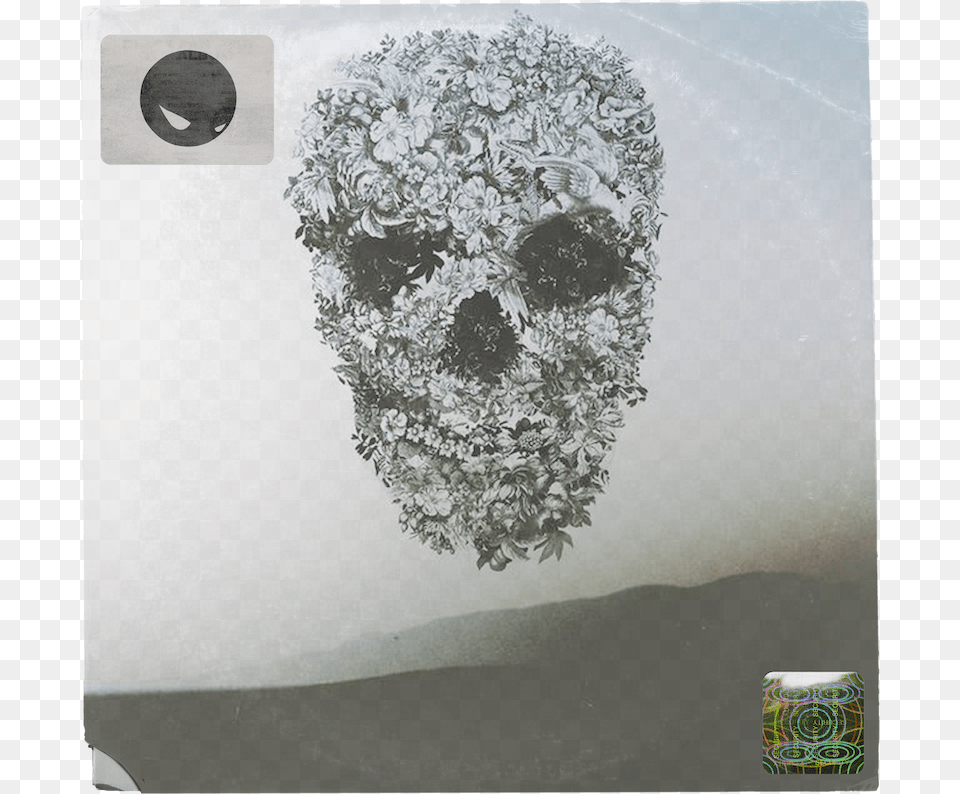 Alexander Mcqueen Flower Skull, Plant, Art, Collage, Aluminium Free Png Download