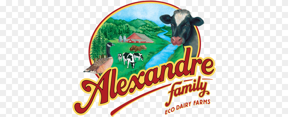 Alexandre Family Ecodairy Organic Farms Grassland, Animal, Bird, Cattle, Cow Png