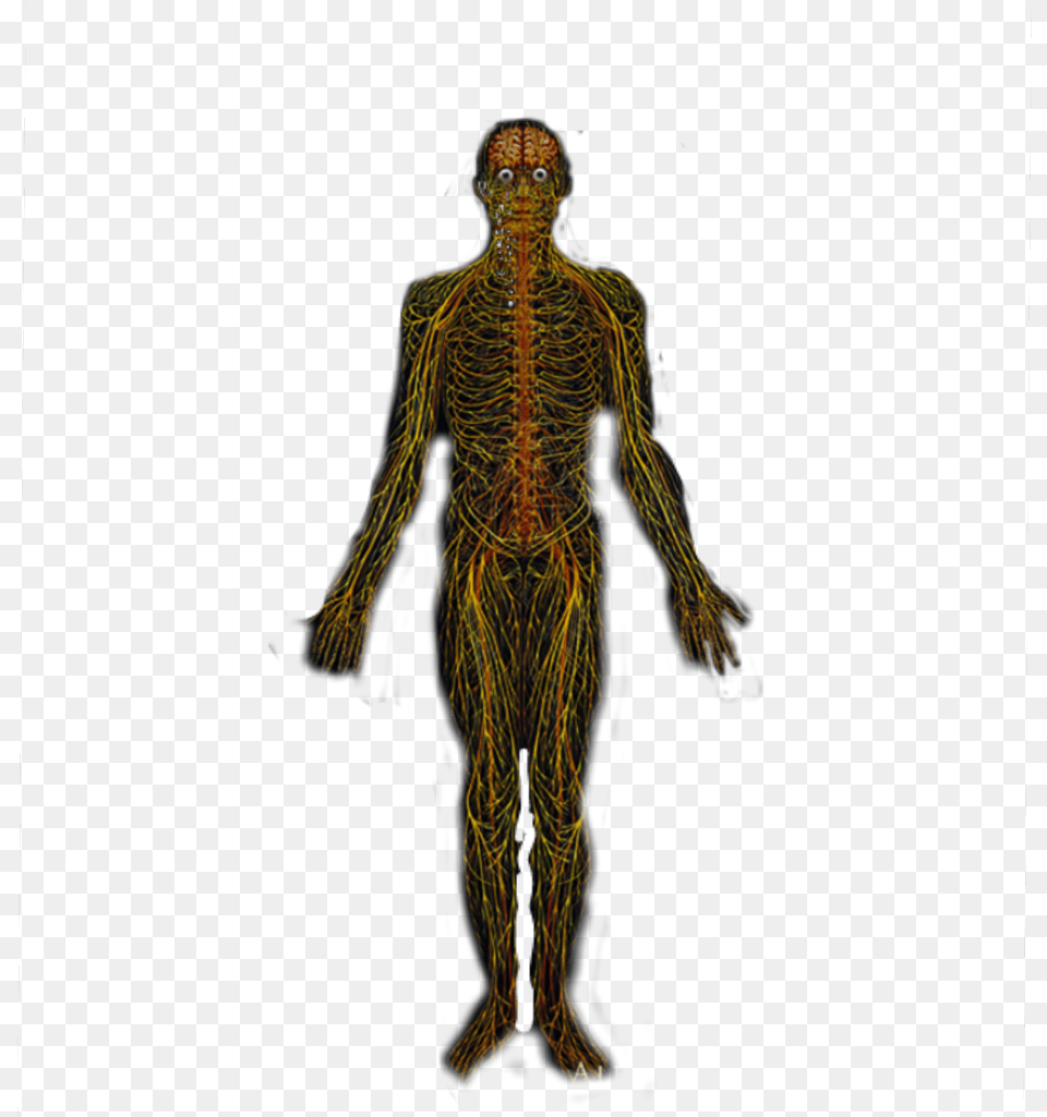 Alexgrey Tool Nerves Male, Adult, Alien, Female, Person Free Transparent Png