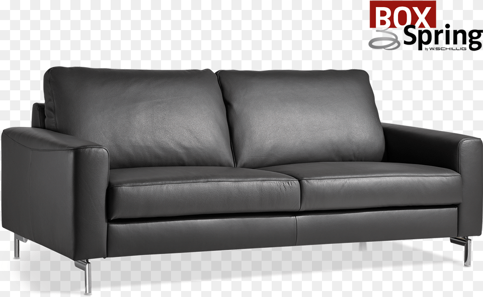 Alexx Studio Couch, Furniture, Chair, Cushion, Home Decor Free Png