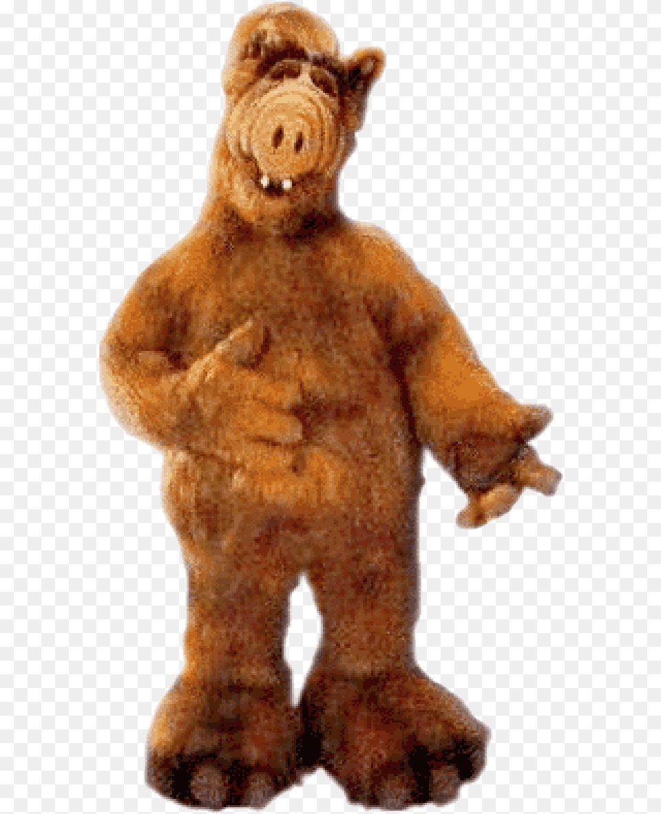 Alf, Baby, Person, Animal, Bear Png Image