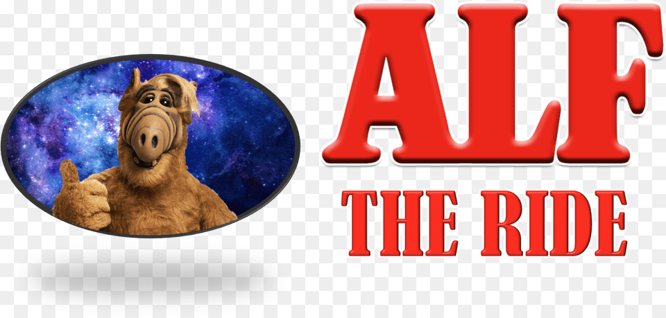 Alf Ride Do Alf O Eteimoso, Animal, Canine, Dog, Mammal Free Transparent Png
